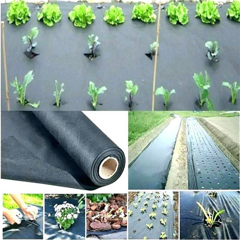Plant Cover Flower Protective Nonwoven Fabric