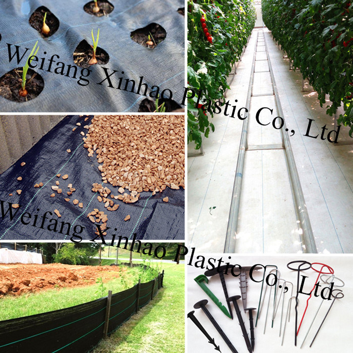 PP Woven Weed Membrane Fabric for European Market