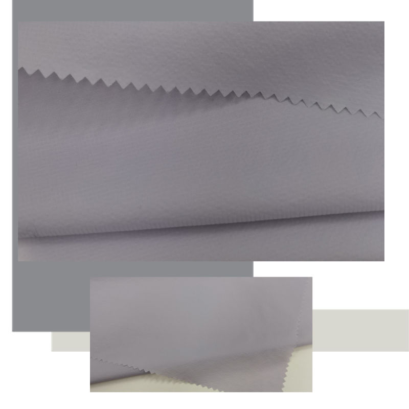 2021 New Product Lightweight Waterproof Fabric Nylon Fabric Wear-Resistant Stretch Fabric China Factory Supply Waterproof100% Nylon Fabric for Down Jacket