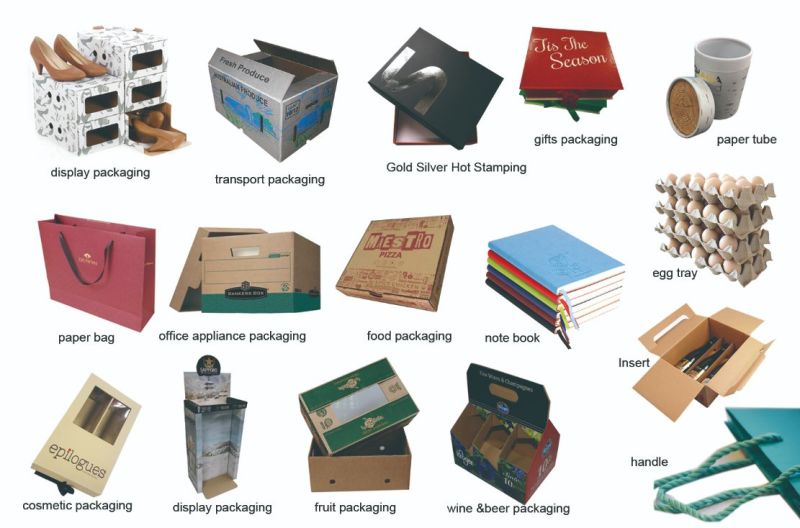 Printed Canton Paper Custom Box Packaging