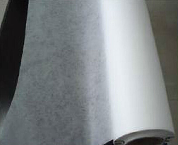 Non Woven Spunbonded/Biodegradable Waterproof Printed Non Woven Fabric