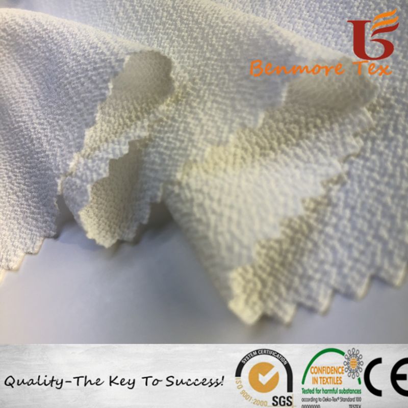 75D Chiffon Bubble Wrinkle/Garment Fabric/Fashion Fabric/Polyester Fabric