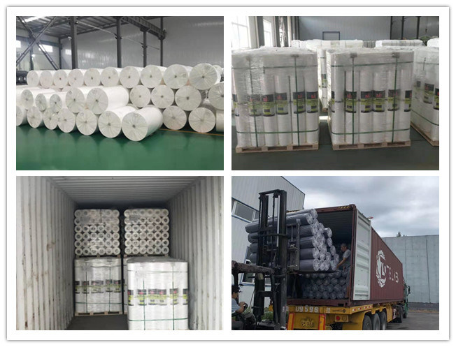 100% Polypropylene S and Ss Spunbonded Nonwoven PP Non Woven Fabric in Rolls