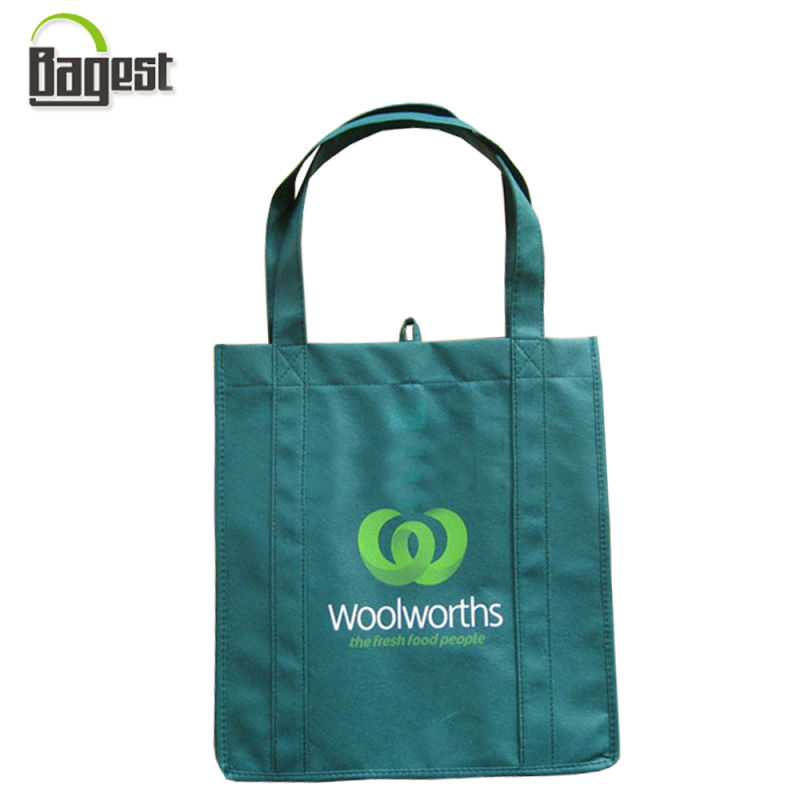 BSCI Audited Recycled Customized Printed PP Non Woven Bag