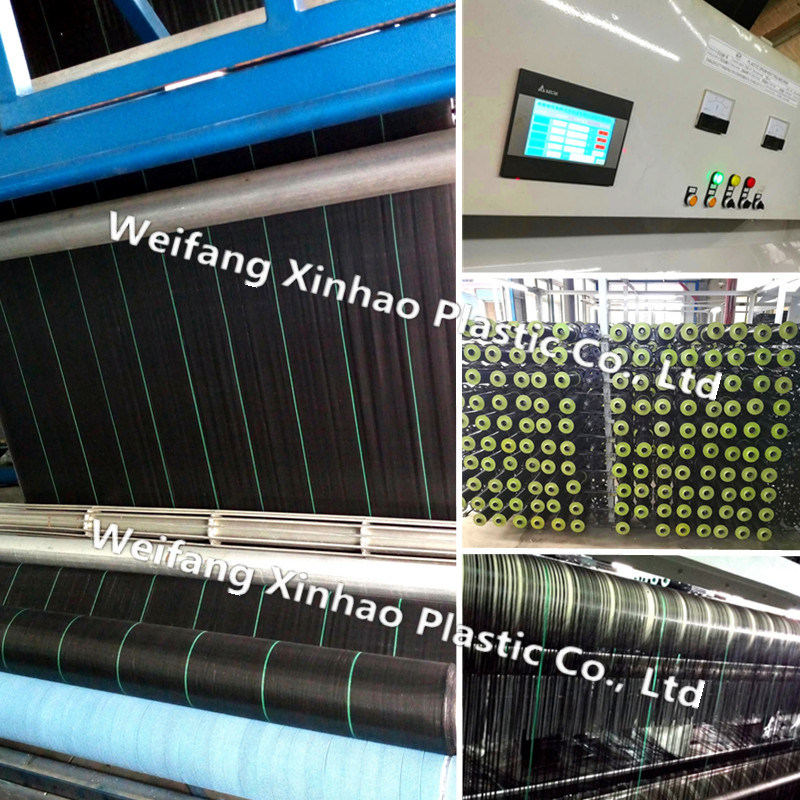 3% UV Agriculture Ground Cover Fabric Passed PAHs Test