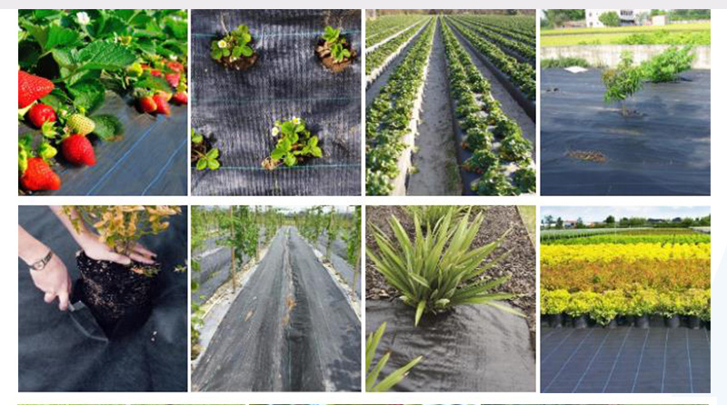 Biodegradable PP Woven Landscape Fabric, Weed Matting