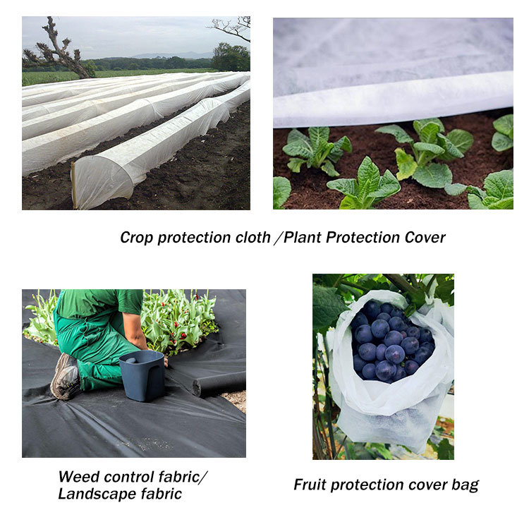 UV Resistance Polypropylene Fabric for Clear Fruit Bag, Fruit Mesh Bag