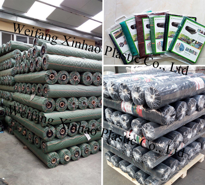 PP Woven Weed Membrane Fabric for European Market