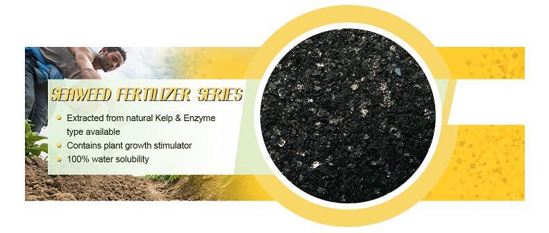 100% Soluble Seaweed Extract Fertilizer Stimulant Powder Fertilizer Organic Fertilizer