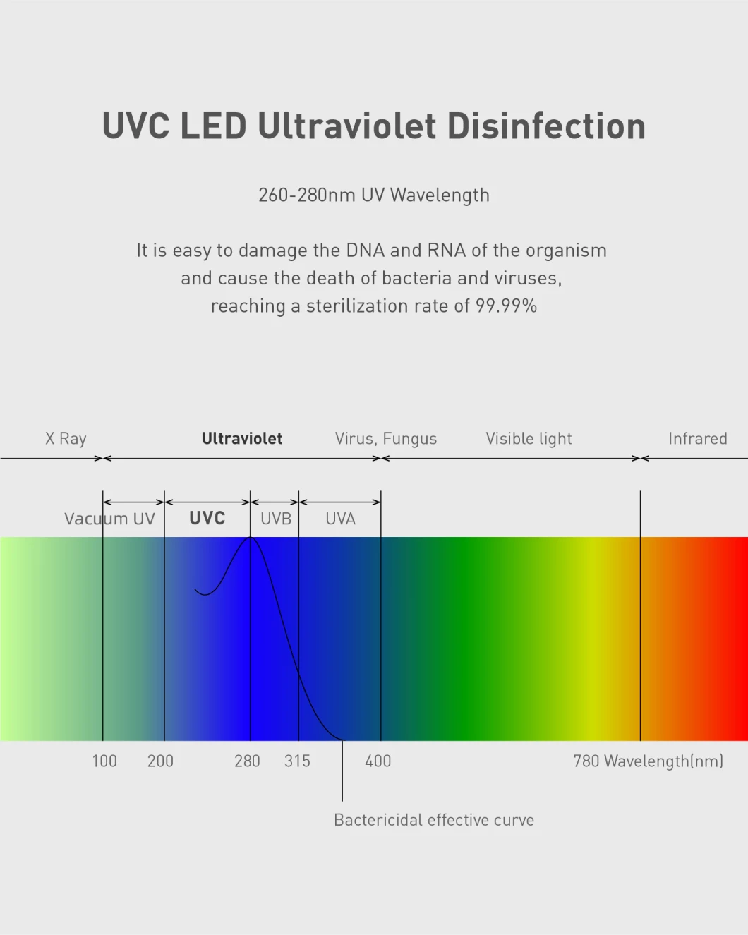 Car Air Purifier HEPA Filter UVC Sterilization Lamp Air Purifier