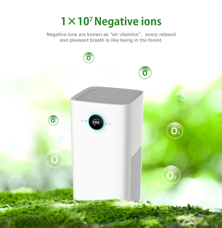 Backnature Air Purifiers Manufacturer UV Optional HEPA Air Purifier 220V Air Cleaner for Home