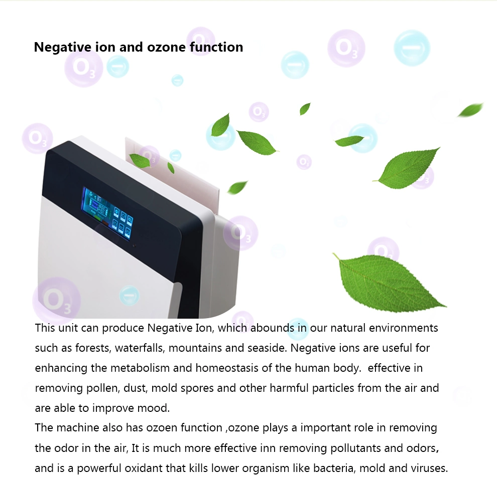 Auto Timer Ture HEPA Cleaner Ionizer Air Purifier