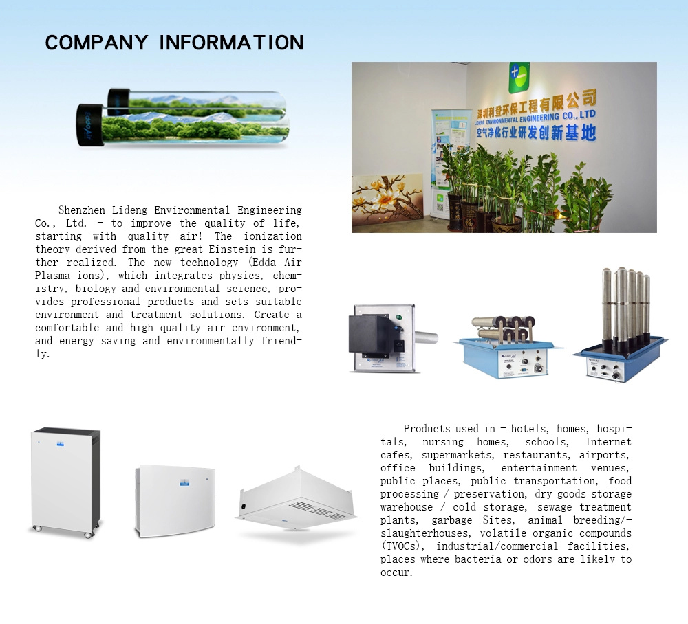 High Quality Commercial Personal Small Room Ozone Air Purifier HEPA Filter for Sale