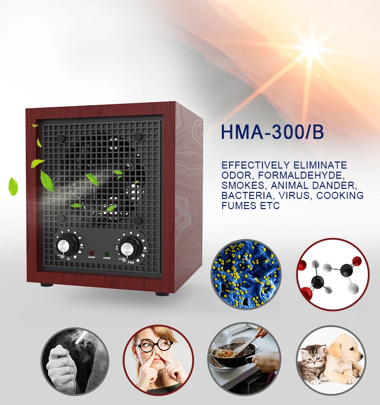 Air Purifier Manufacturer HEPA Air Purifier 220V Air Cleanere