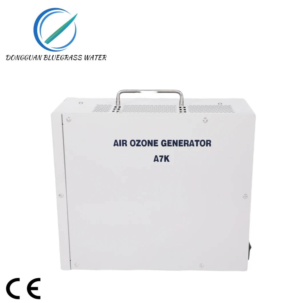Odor Removed Portable Car Ozone Generator Remote Control O3 Air Purifier Machine Ozonizer
