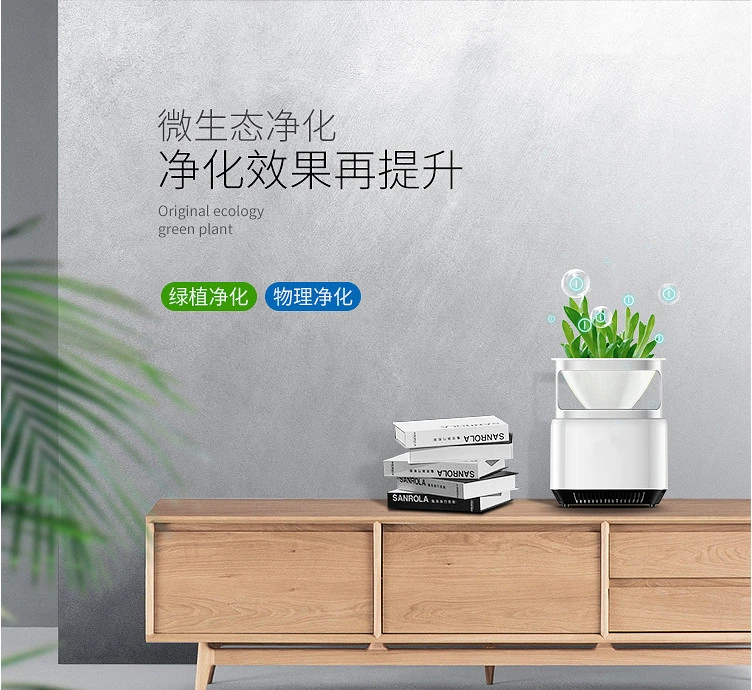 Desk Air Purifier with Plant