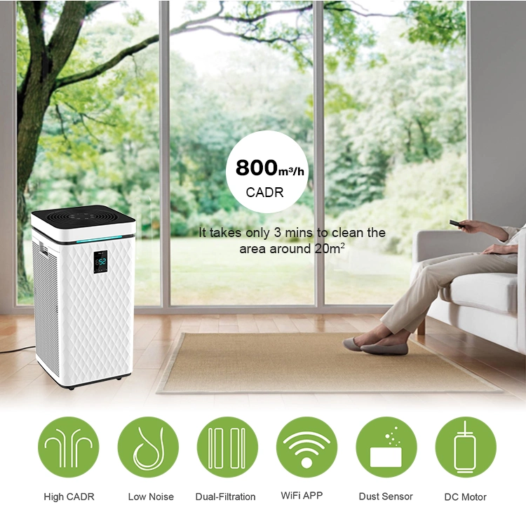 Home Air Purifier with Real HEPA Filter, Ionizer Air Purifier for Office Hotel Home and School