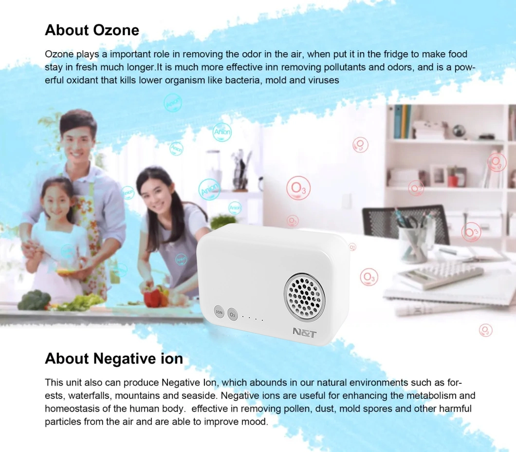 Mini Negative Ion and Ozone Sterilizer Desktop Air Purifier with Power Bank