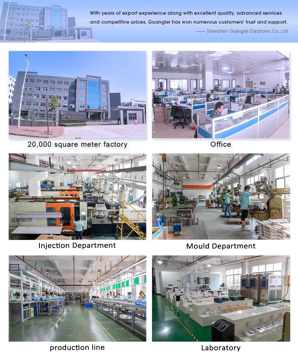 China Supply Anion Air Ionizer Air Purifier Ionizer