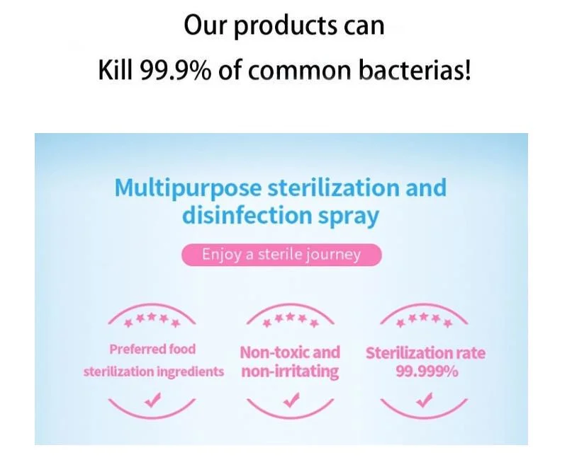 Kill Virus Disinfection Hclo Car Spray Sterilizer