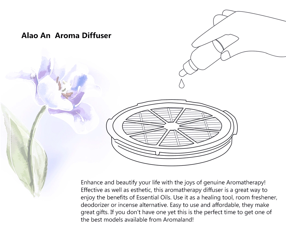 Desktop Ionizer Aroma Diffuser Ozone Home Air Purifier