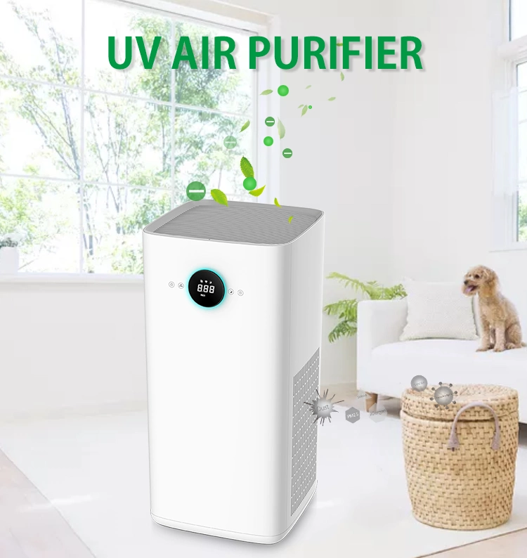 Factory Direct Supply Office Air Purifier Disinfection