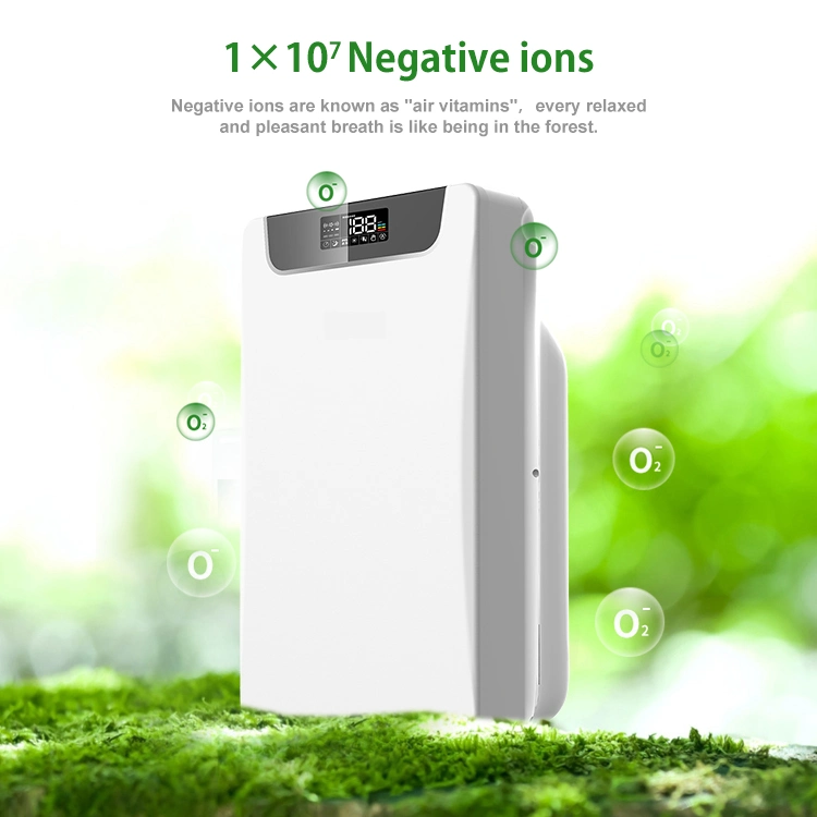 Home and Office HEPA Air Purifier Manufacturer