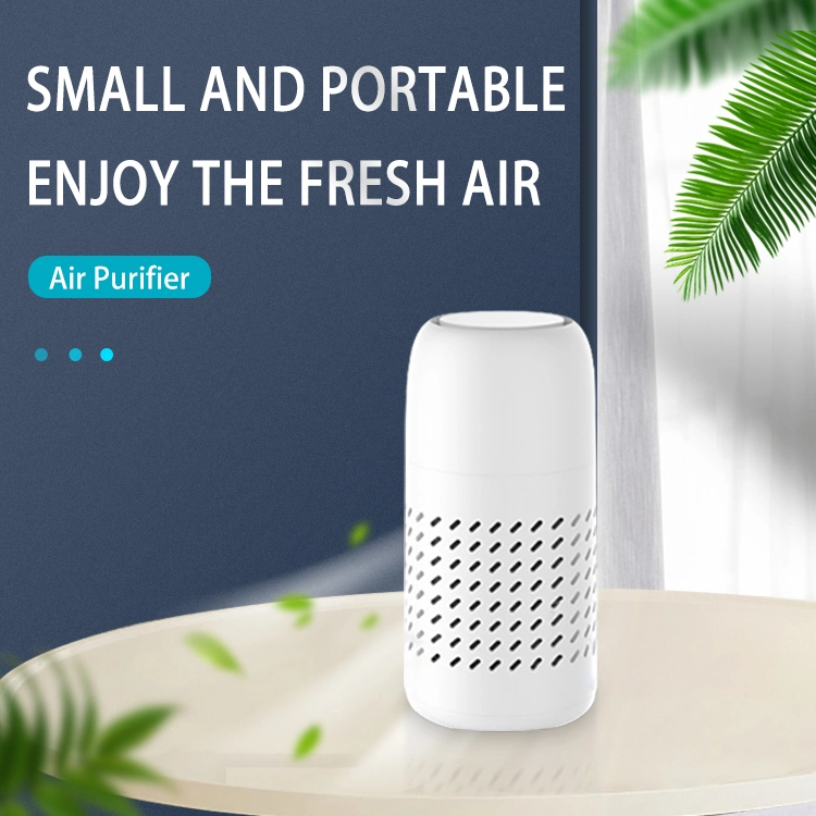 Hot Selling Small Portable Anion Air Purifier for Home Car Air Purifier
