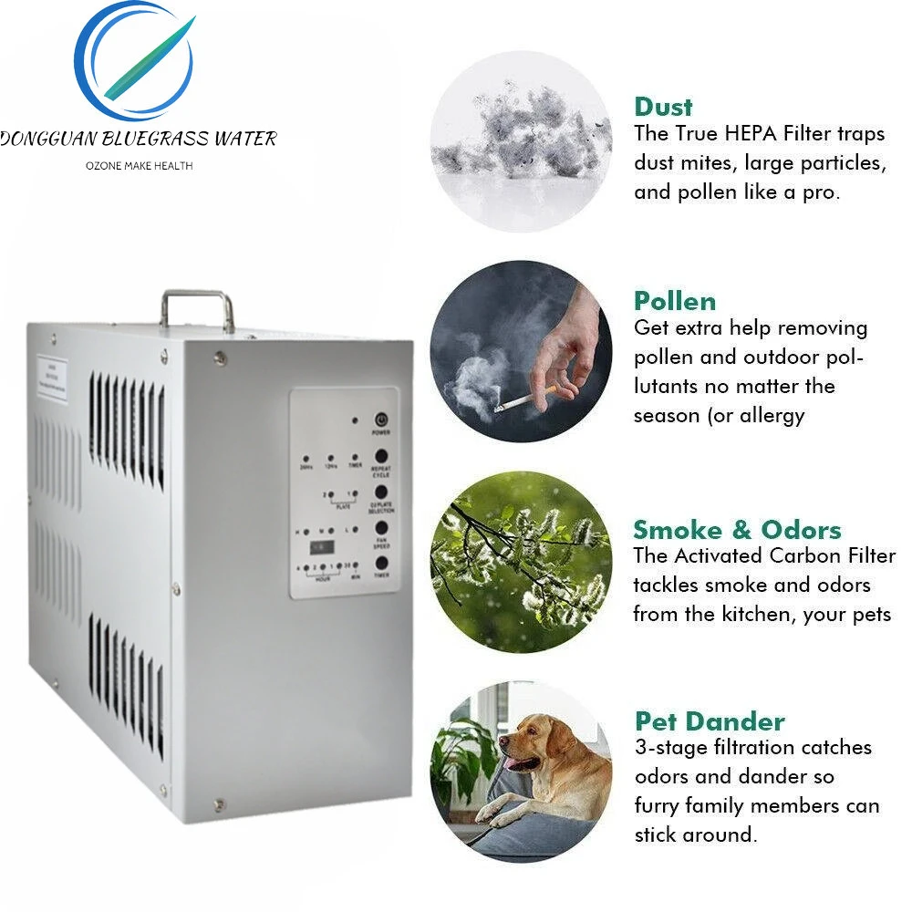 Potable Air Disinfector Ozone Generator Purification Air Purifier