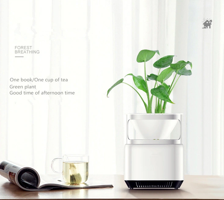 Desk Air Purifier with Plant