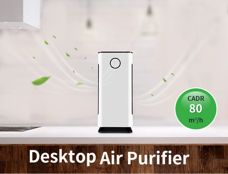 Backnature Professional Purifier Supplier Negative Ionizer Air Cleaner for Desktop