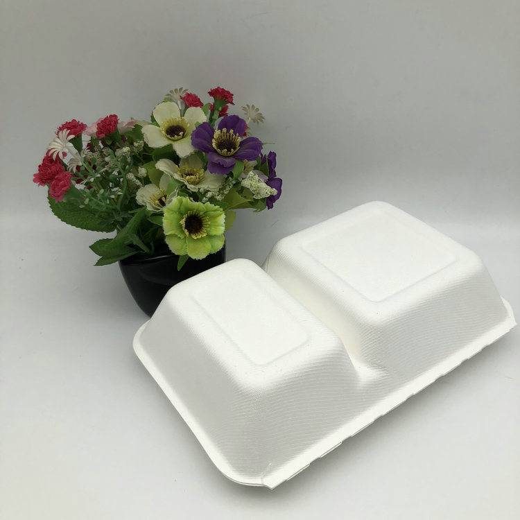 Disposable 1000ml 2 Compartment Clamshell Bagasse Food Container for Lunch
