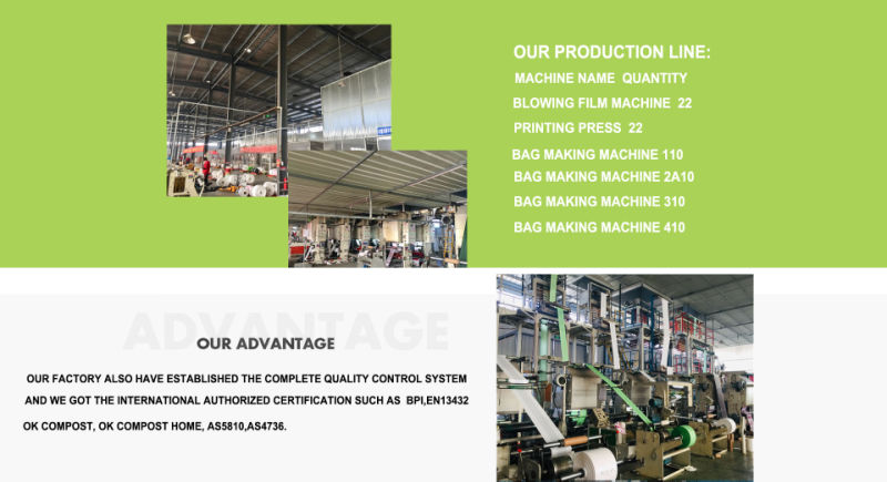 Biodegradable Plastic T-Shirt Bags Making Machine Price