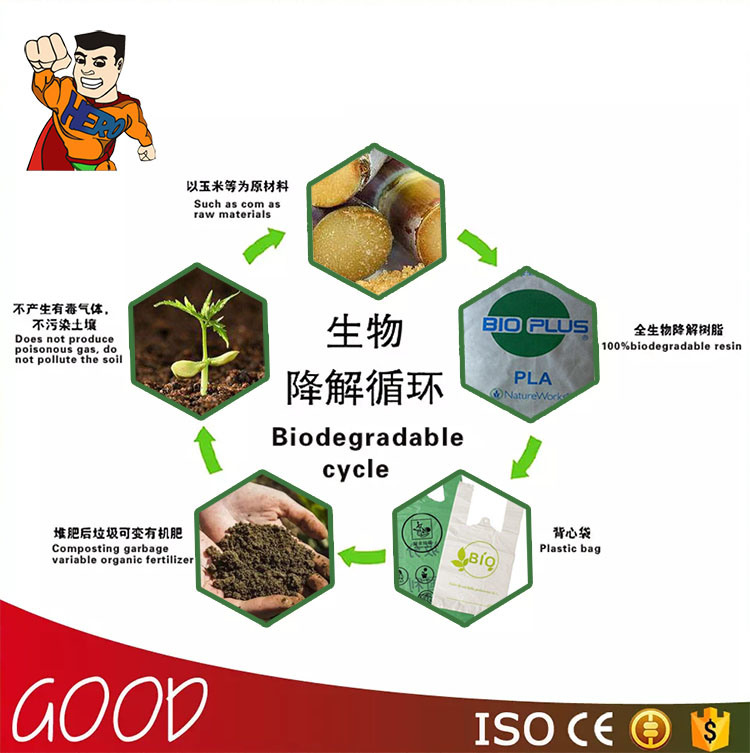 Biodegradable Plastic Bags Manufacturing Machine Making Automatic