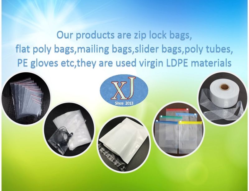 Zipper Bag Customized Logo Printing PE Resealable Clear Zip Lock Bag