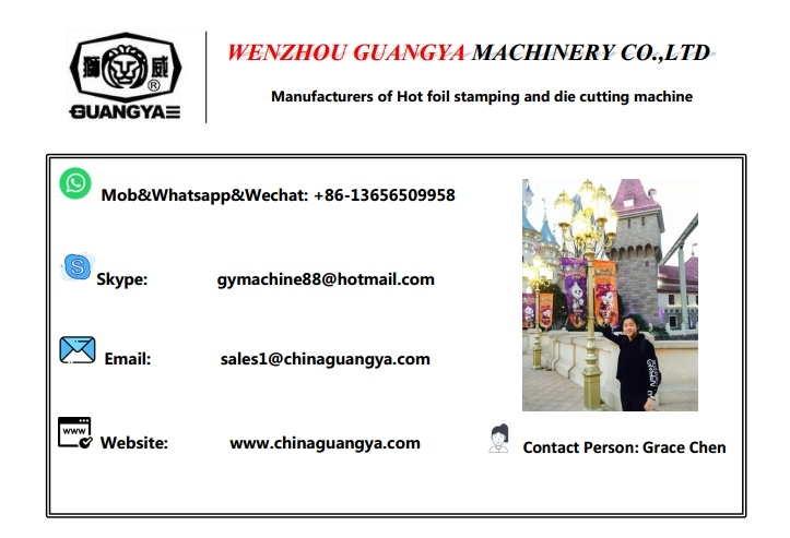 Web-Fed Automatic Hot Foil Stamping and Die Cutting Machine for Paper Bag, etc