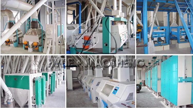 100t Per Day Corn Flour Making Mill Machine for Fortified Maize Meal