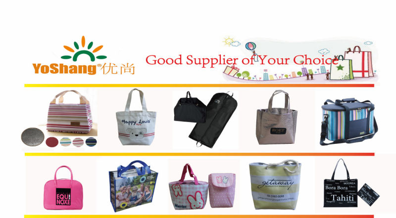 Professional Customized Cheap PP Woven Bag, Laminated PP Woven Shopping Bag