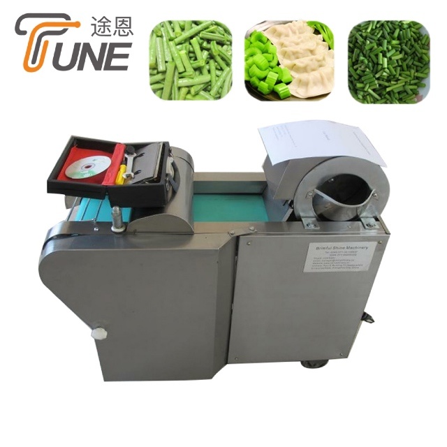 300kg/H Onion Multi-Function Cutting Machine Vegetable Slicing Machine