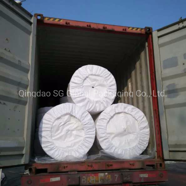 China Supply 60cm*100cm White PP Woven Sacks in Roll