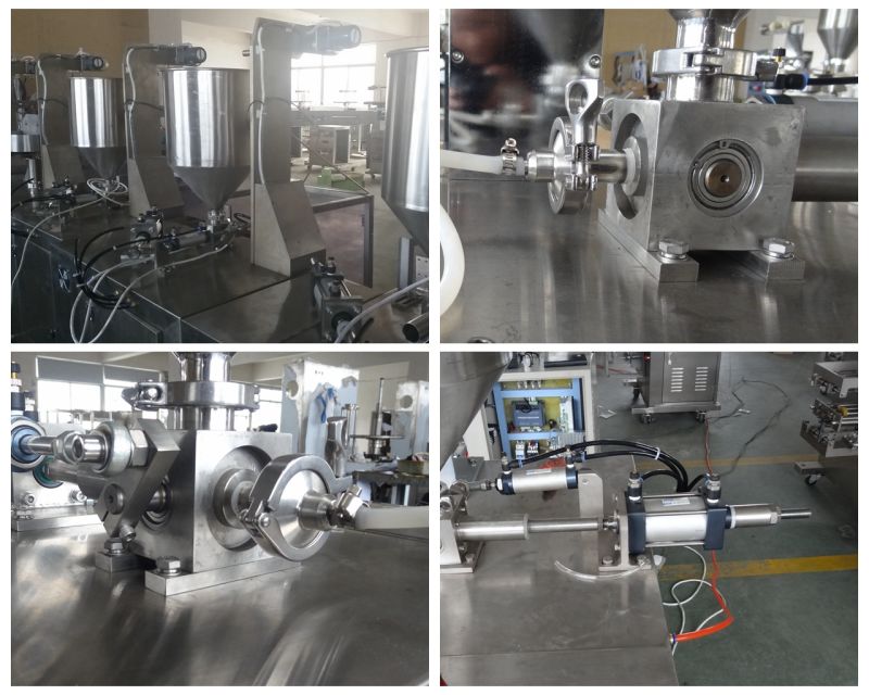 Spice Powder Packing Machine for Preformed Pouches