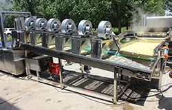 Automatic Fry Potato Chips Making Machine From Factory