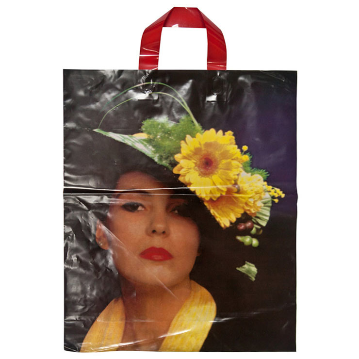 High Quality Loop Handle Carrier Bags for Shoppping (FLL-8335)