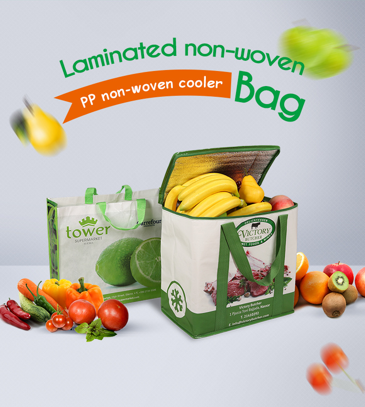 Shopping Portable Bag with Handle for Supermarket