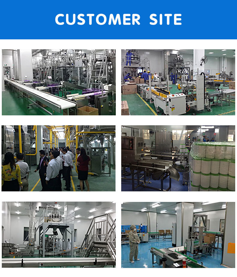 Automatic Multihead Weigher Back Sealing Bags Vertical Packing Machine