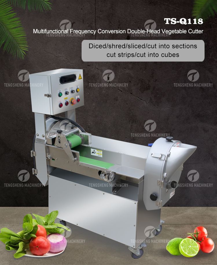 Multifunctional Vegetable Cutter Onion Slicing Shredding and Dicing Machine (TS-Q118)