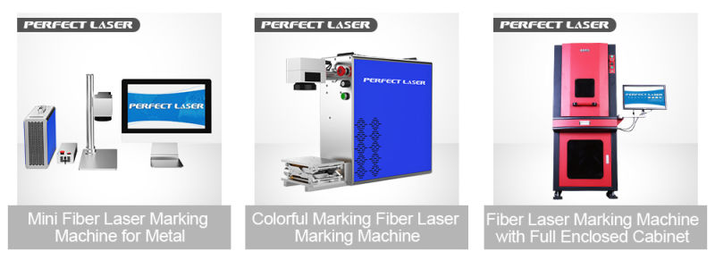 Laser Marking Machine for Plastic Bottle for Production Line