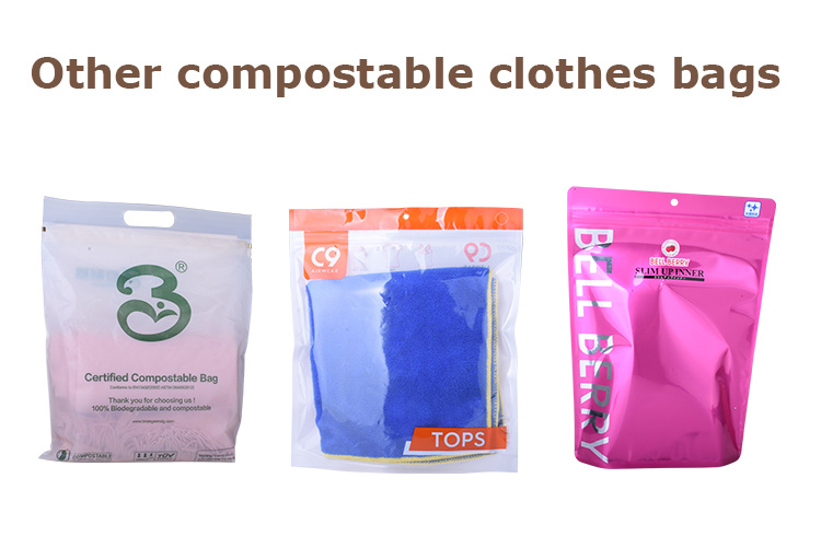Biodegradable Stand up Sealed Underwear Zip Packaging Pouches Bag