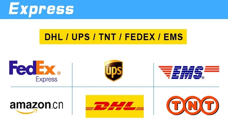 Agent Urgent Delivery Courier Service Express Fast Delivery to Canada