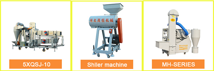 Seed Bagger Machine with Conveyor and Sewing Machine
